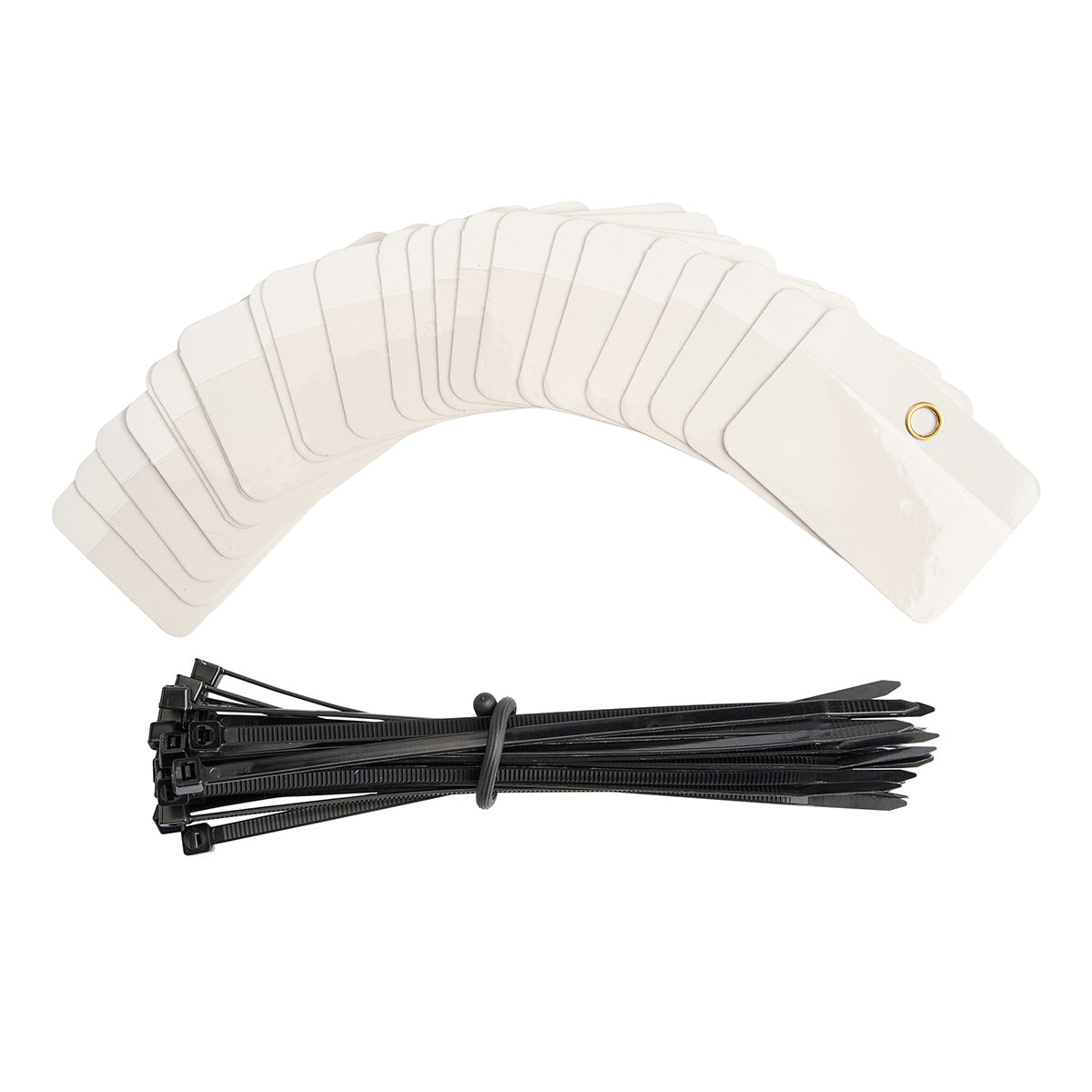 Self Lam Tags 2in H x 3in W White 25/PK
