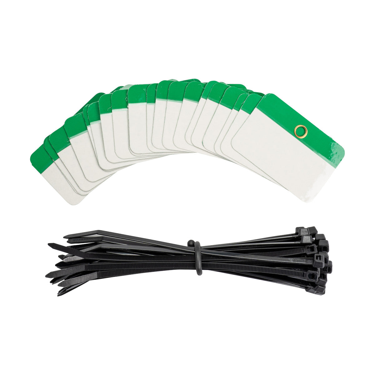Self Lam Tags 2in H x 3in W Green 25/PK
