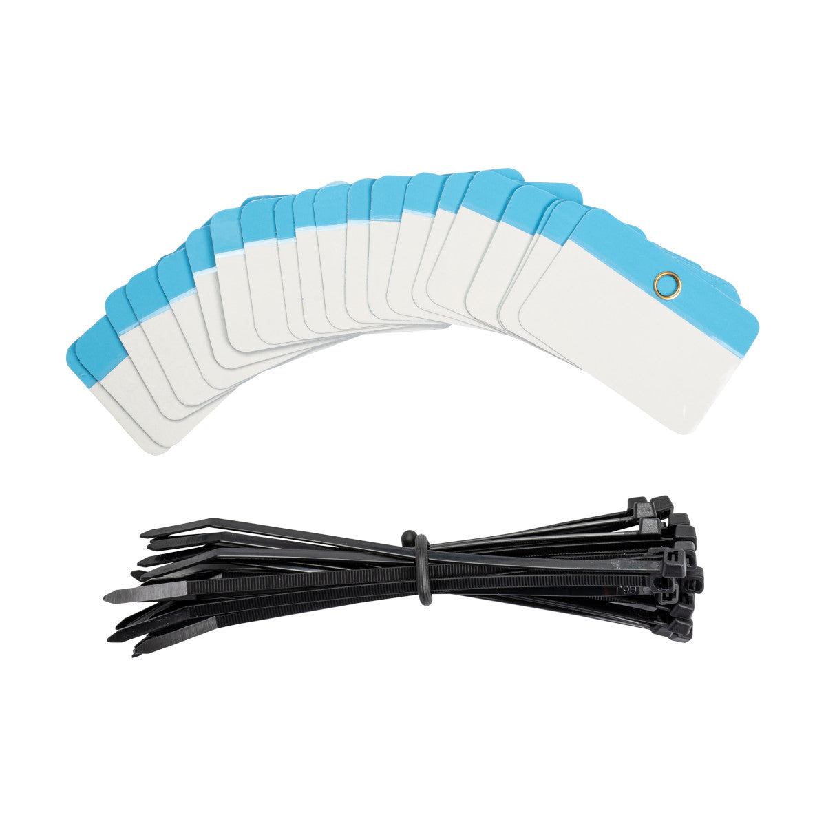 Self Lam Tags 2in H x 3in W Blue 25/PK