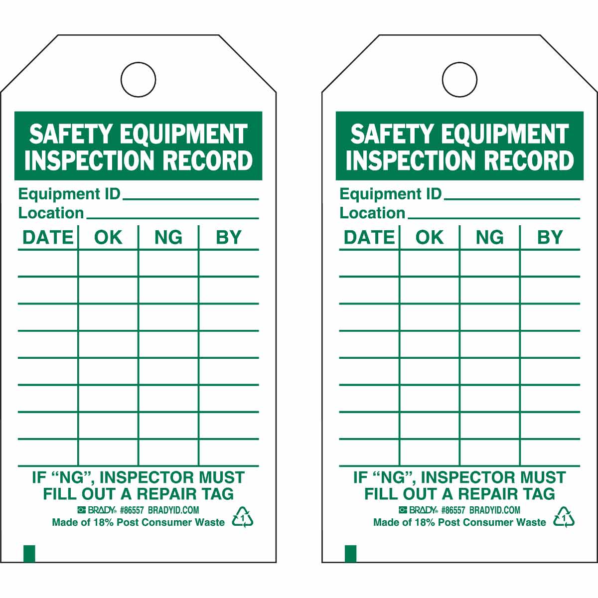 TAG 5.75X3 INSPECT 2SD 10/PK