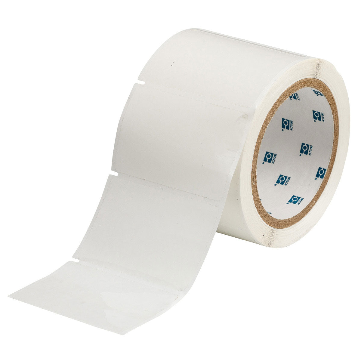 Label Polyester 2in x 3in CL 1000/RL