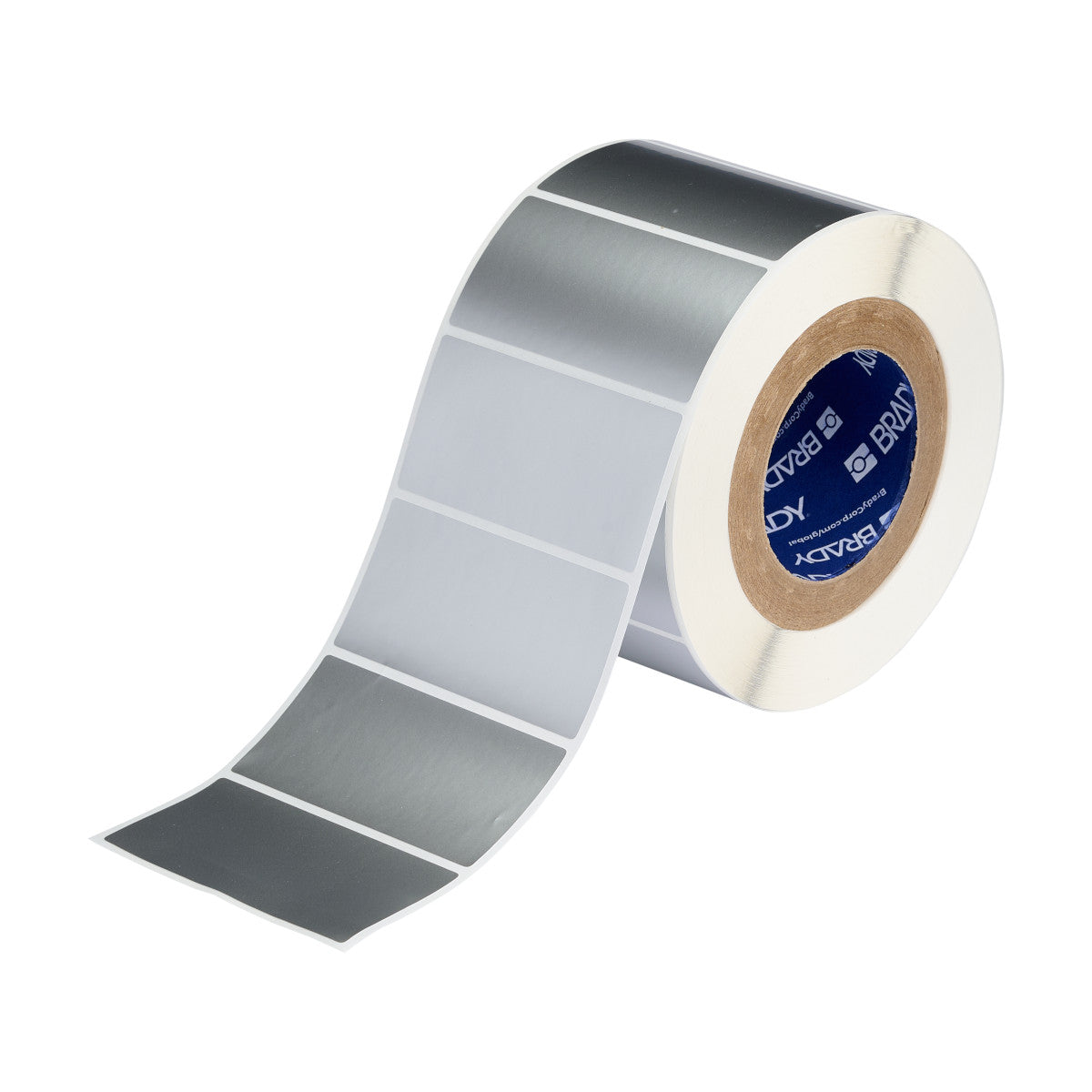 Label Polyester 2in x 4in SL 1000/RL