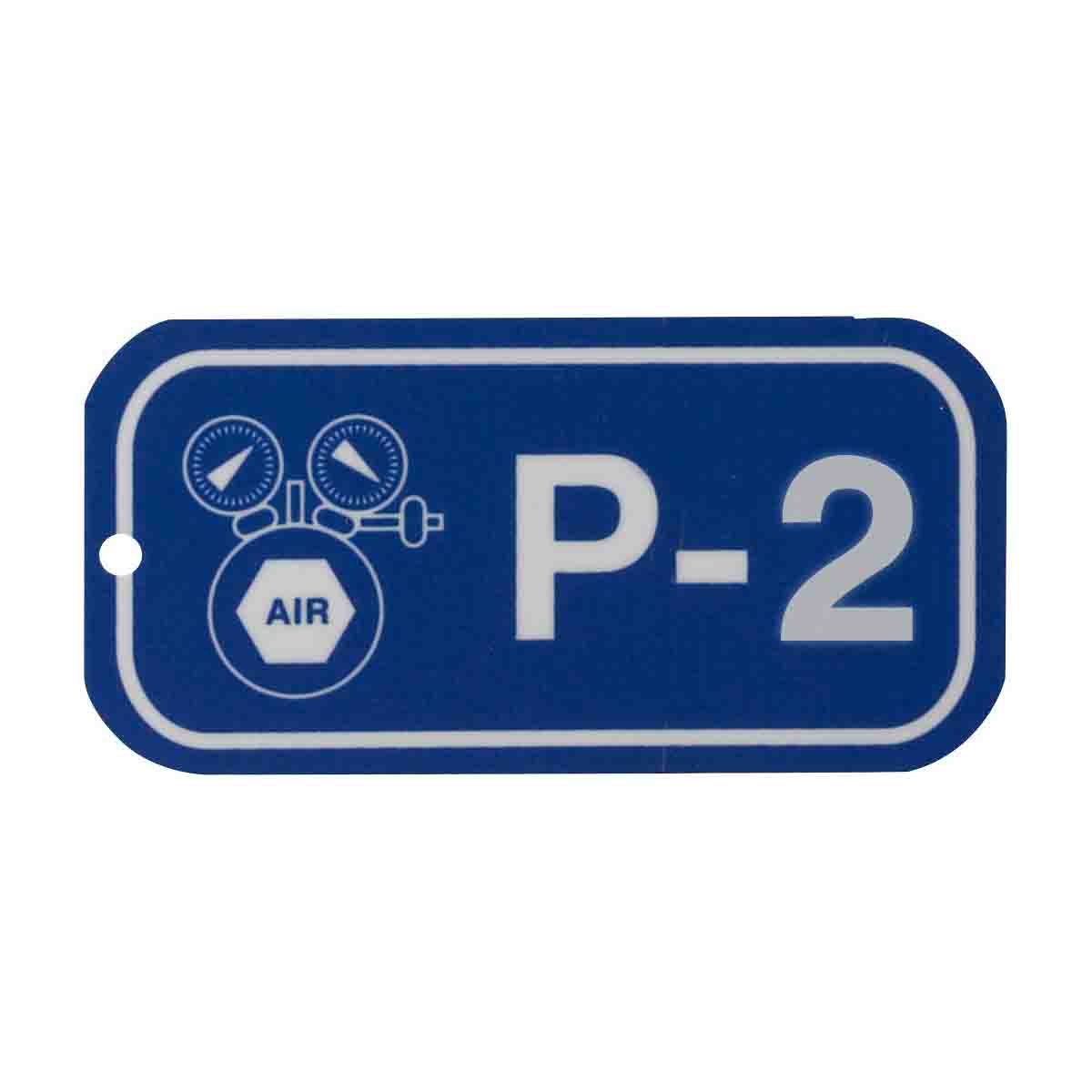 1.5"X3" ENERGY TAGS WHT/BLU,P-2, 25/PK