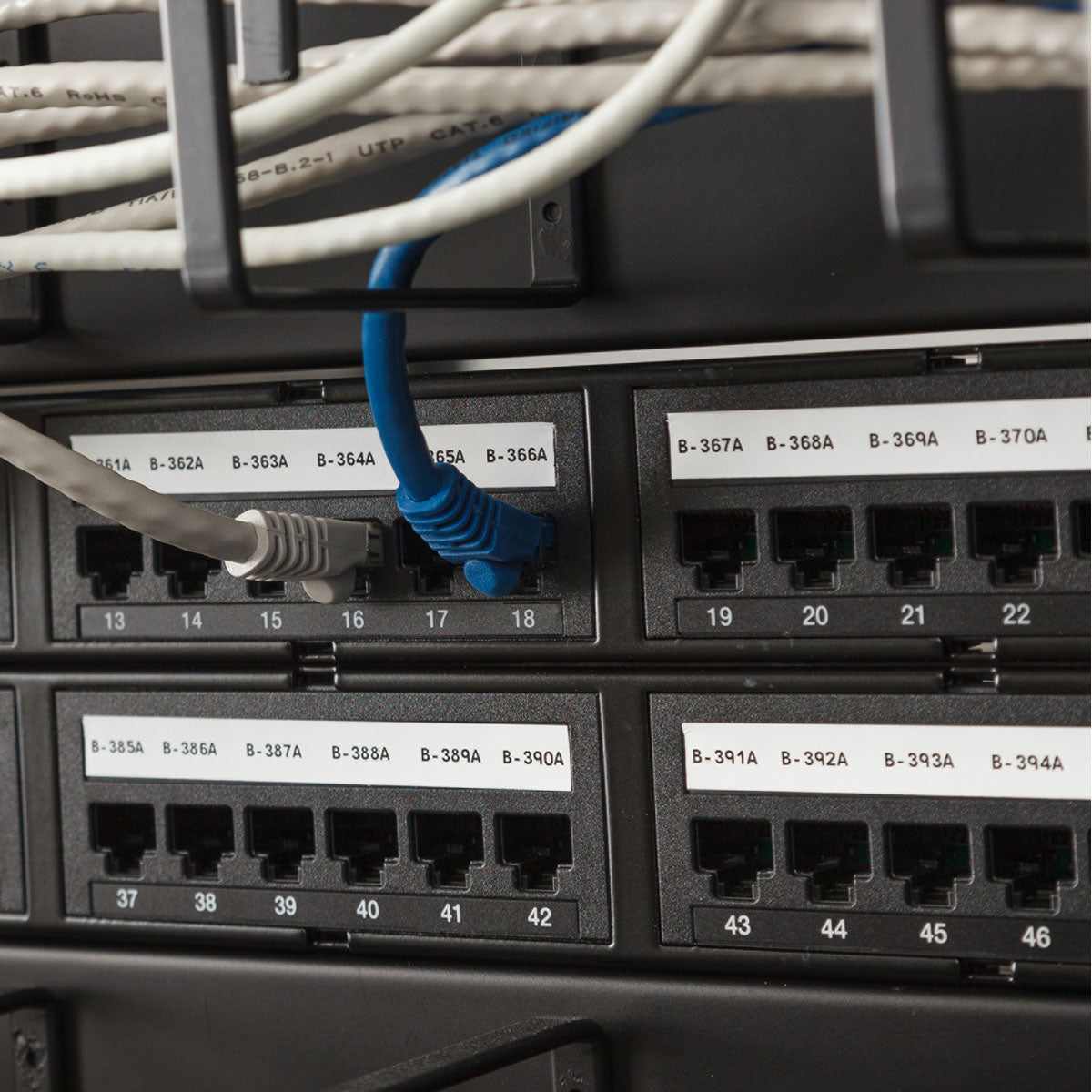 Tags 0.785 in W x 50 ft L WT