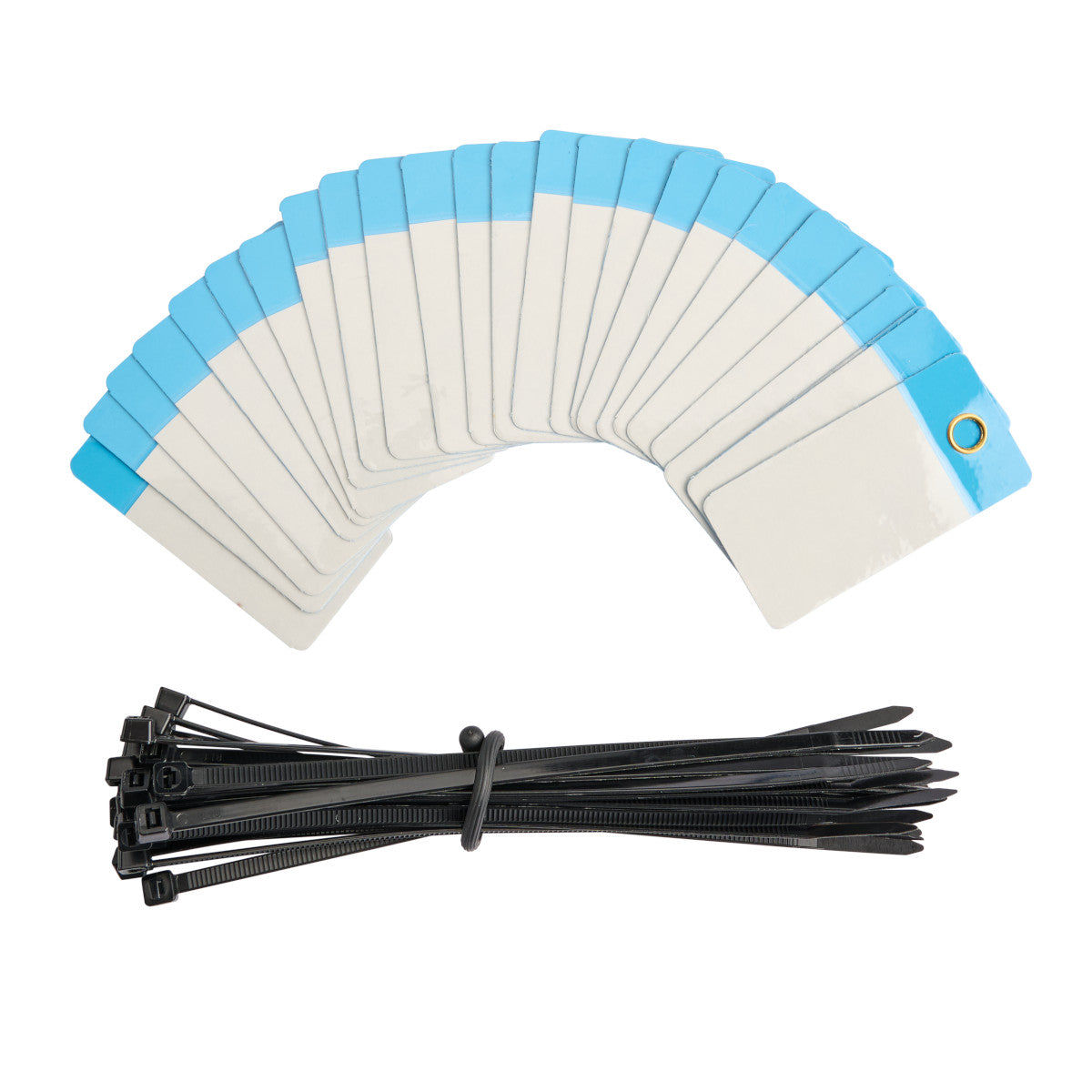 Self Lam Tags 4in H x 2in W Blue 25/PK