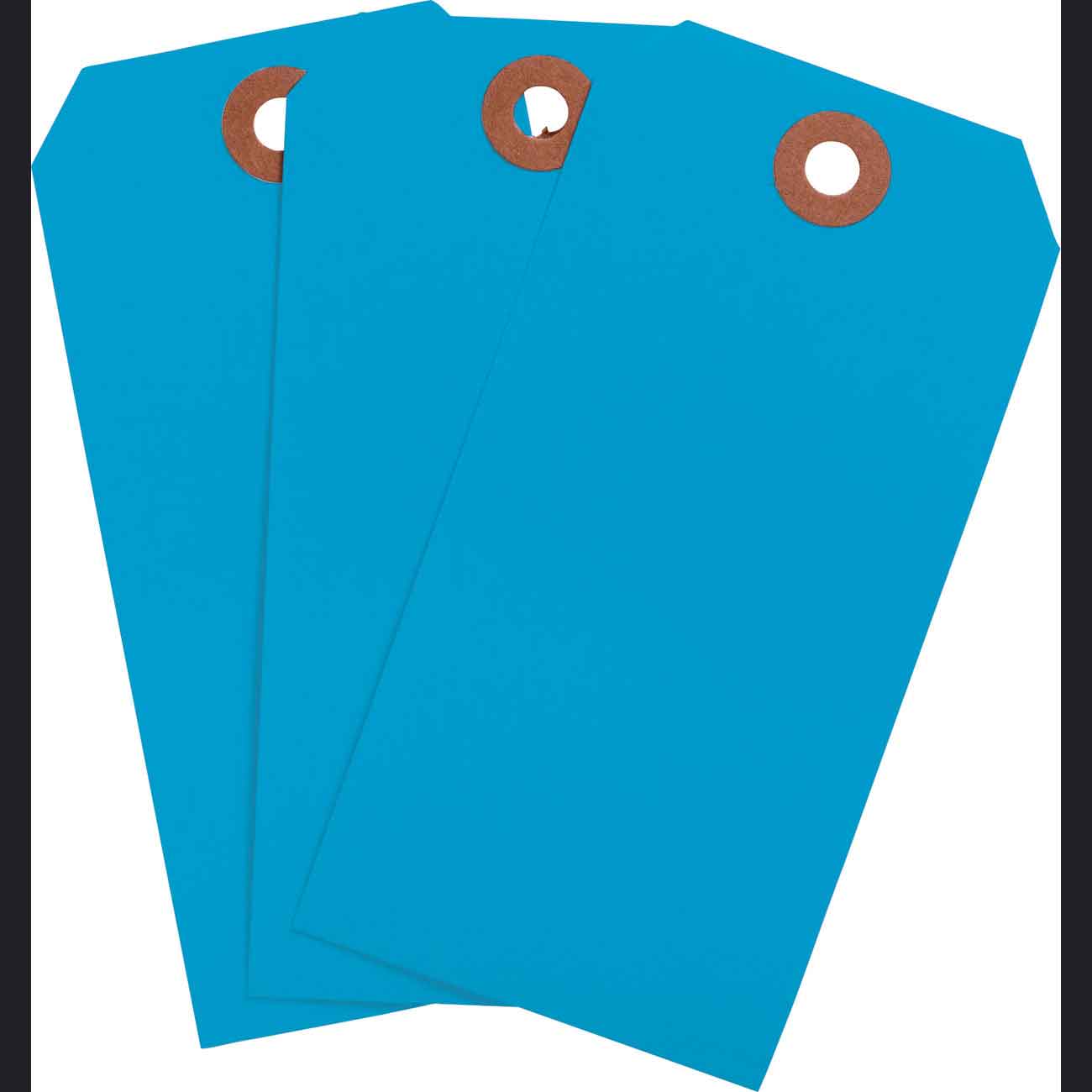 Blank WO Tags 4.25" H x 2.125" W Lft BLU