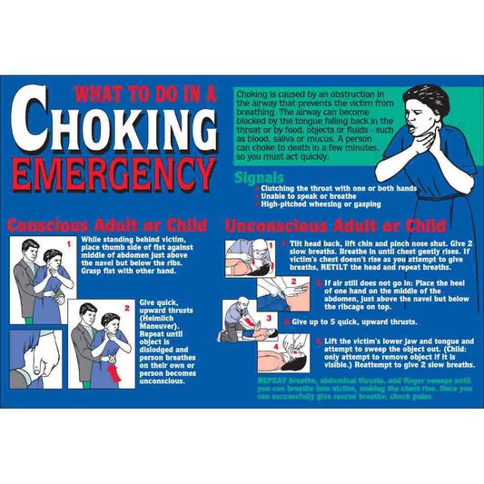 WALLCHART-PLAS-29WX20-CHOKING EMERGENCY