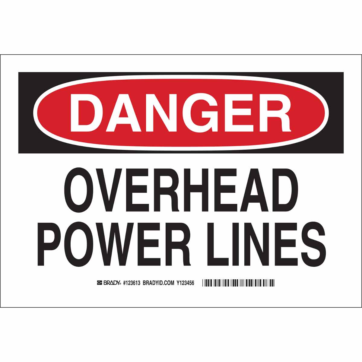 B302 10X14 BLK/RED/WHT DANGER OVERHEAD