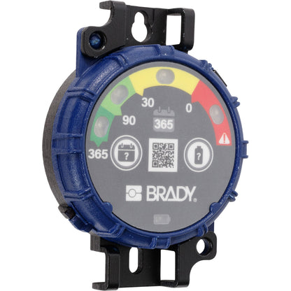 Brady Inspection Timer 365 Day 10 Pk