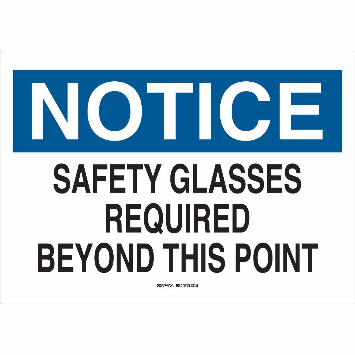 Sgn B555 10X14 BL/BK/WT SAFETY GLASSES