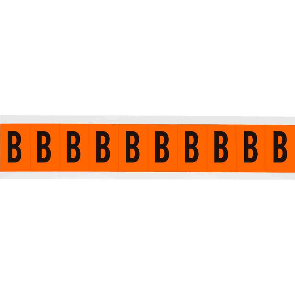 1 in Vinyl N&L Black on Orange B 10/PK