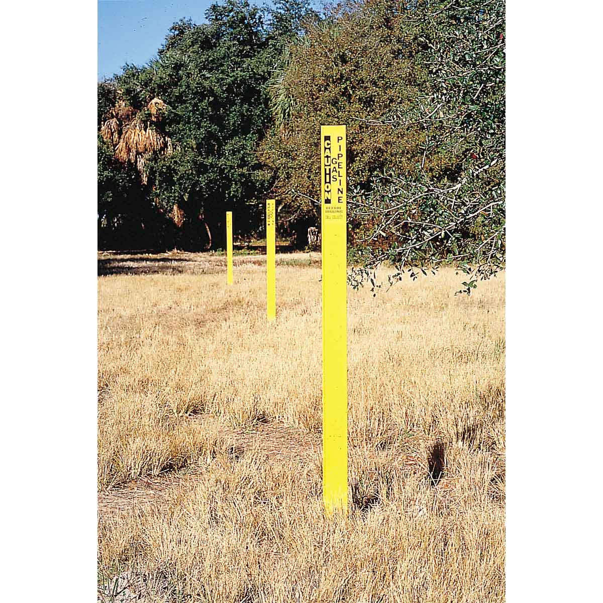BRADY WARN/STAKE W/POINT-BLUE 3.8X66