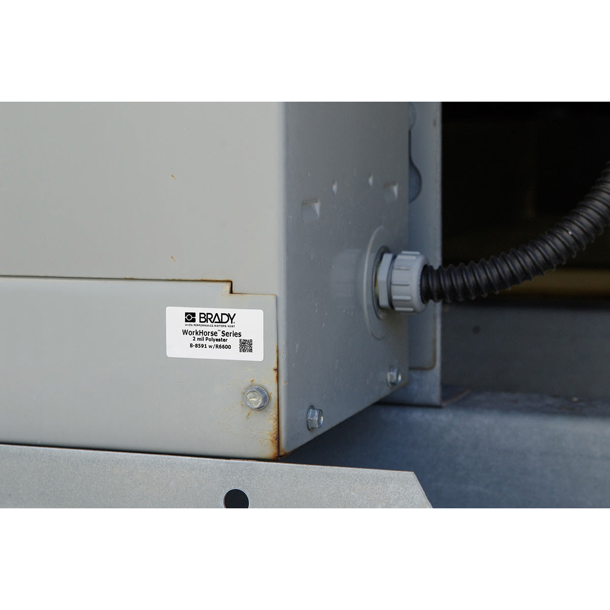 Label Polyester 2in x 3in WT 750/RL