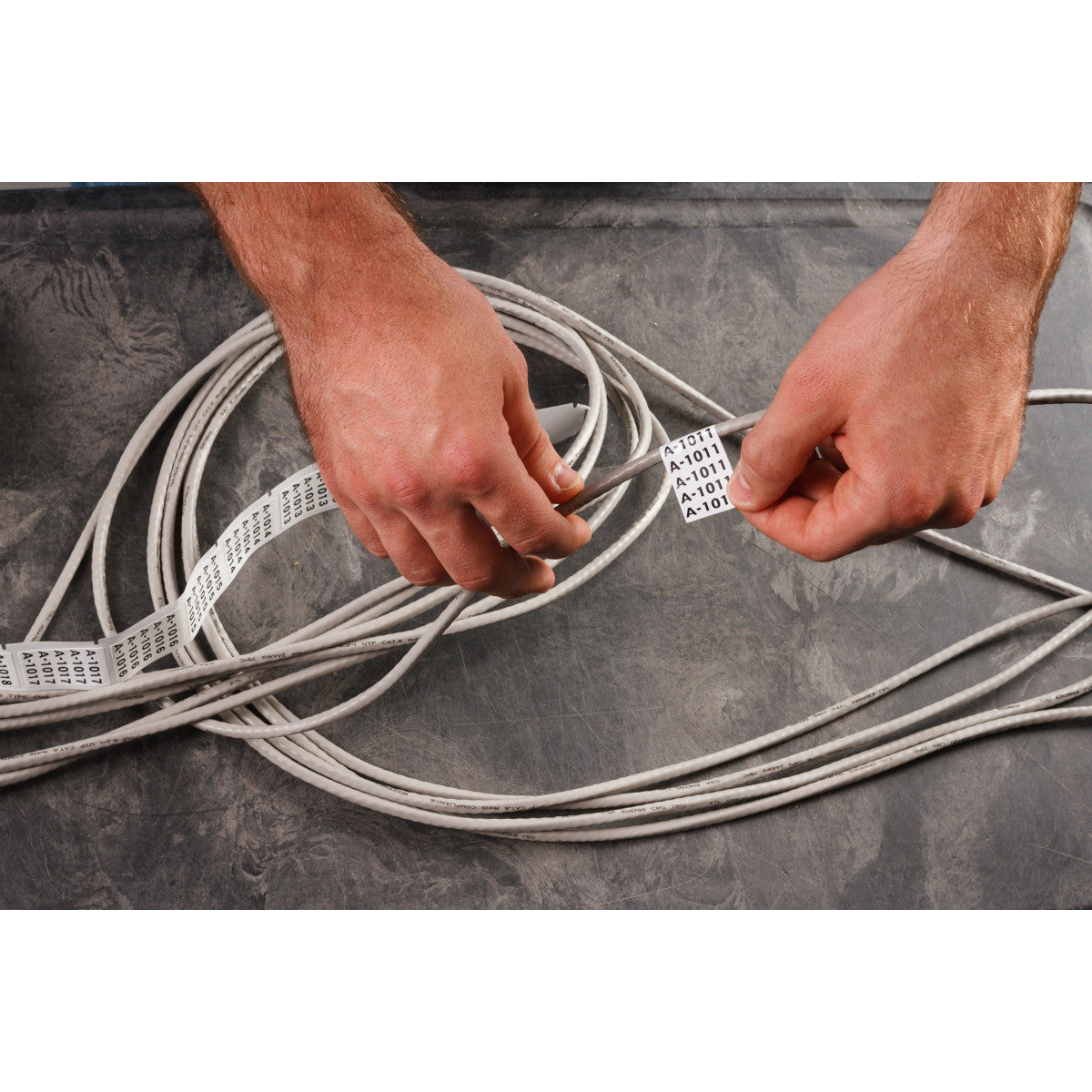 Repositionable Lbls 0.24 x 16ft BK/WT