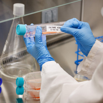 Polyprop Label 1 in W x 25 ft L