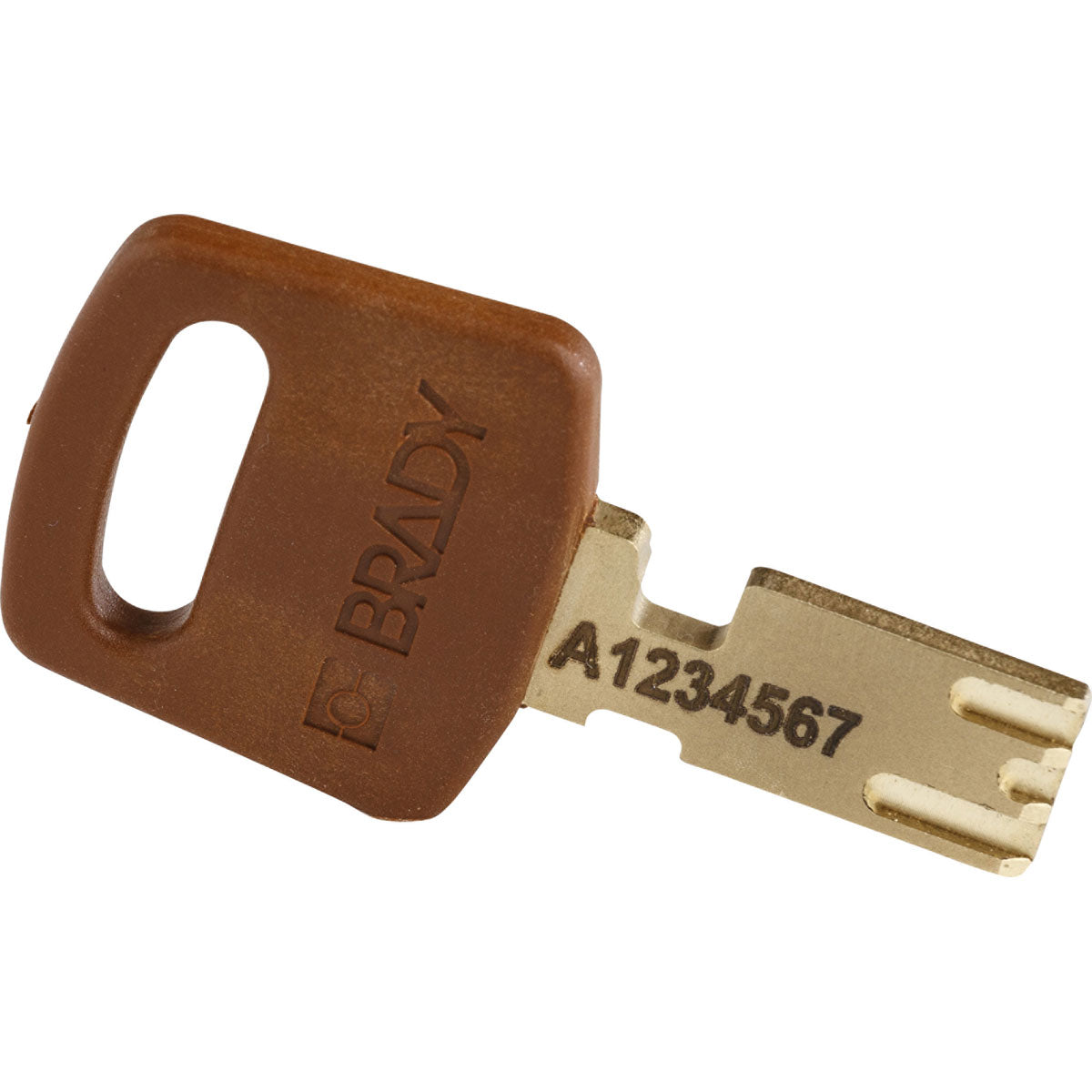 Nylon Padlock 1.5" Steel Shkl KA BN 3PK